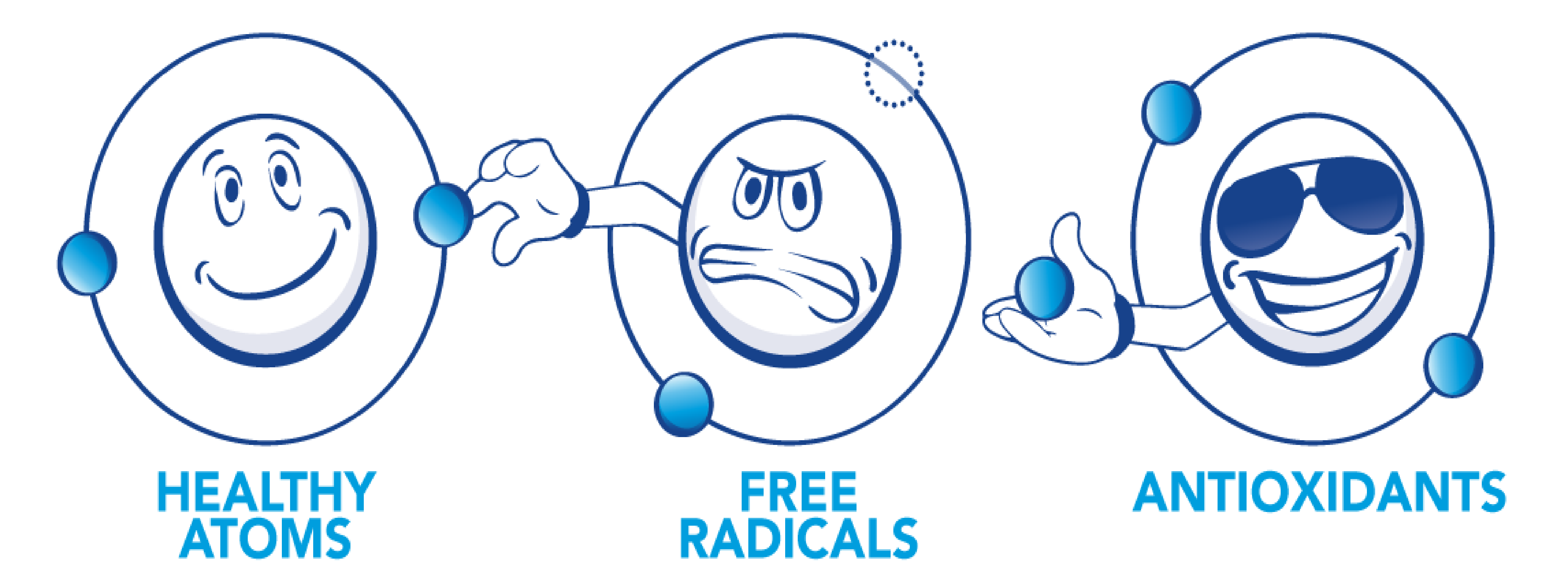 peranan antioksidan meneutralkan radikal bebas