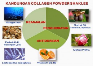 Kandungan Shaklee Collagen Powder yang hebat