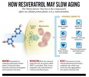 Bagaimana Resveratrol Memperlahan Penuaan