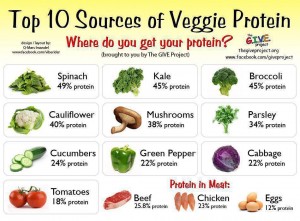 Sumber protein dalam makanan