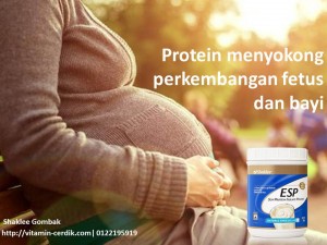 Ibu hamil dan menyusu sangat penting mengambil protein mencukupi untuk memastikan perkembangan fetus dan bayi yang baik
