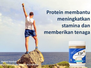 Protein sebagai sumber tenaga dan stamina