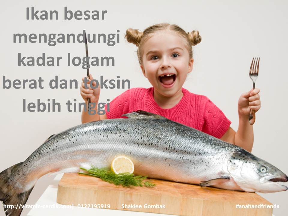 Ikan besar mengandungi kadar logam berat dan toksin lebih tinggi dan boleh memudaratkan kesihatan