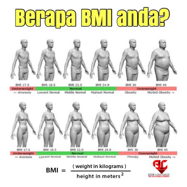 Carta BMI jangan tunggu obes
