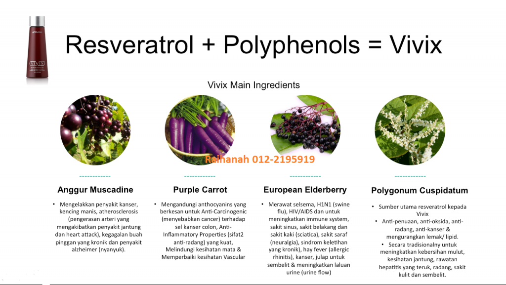 Gabungan resveratrol polifenol menjadikan Vivix sangat berkuasa