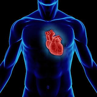 Khasiat ESP untuk kesihatan jantung