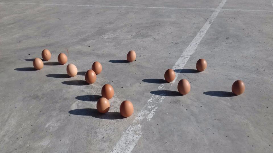 Tarikan graviti dijadikan penyebab mengapa telur boleh berdiri dengan sendirinya