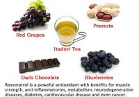 Makanan tinggi resveratrol