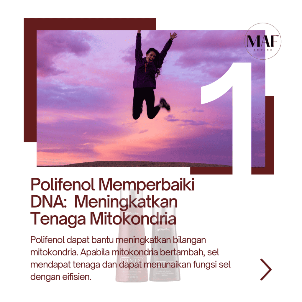 Polifenol bantu tingkatkan tenaga selular dengan perbaiki dan lindungi DNA