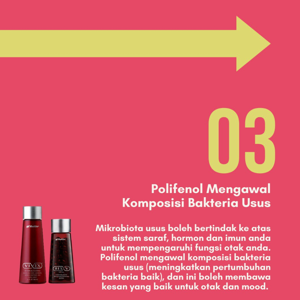 Polifenol memperbaiki usus