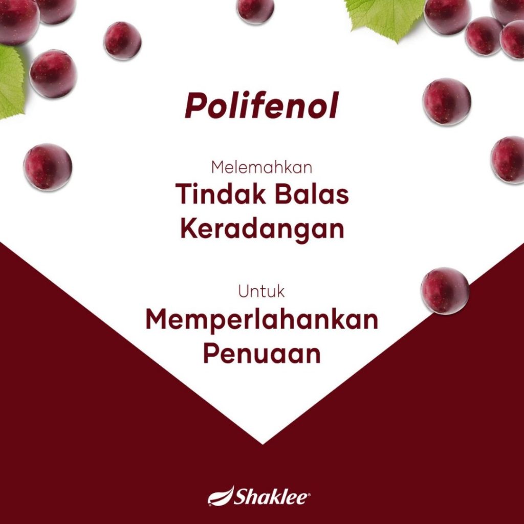 Polifenol bertindak balas ke atas keradangan dan memperlahankan penuaan sekaligus mengurangkan risiko kanser