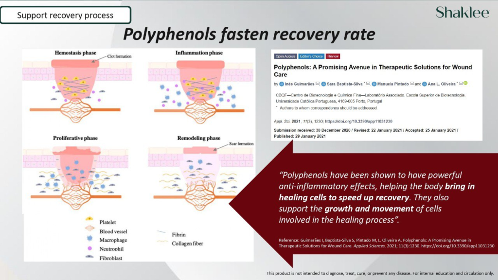 Rajah proses pemulihan luka yang menunjukkan fasa keradangan. Polifenol terbukti membantu membawa sel penyembuh untuk mempercepatkan proses pemulihan dan luka diabetik.