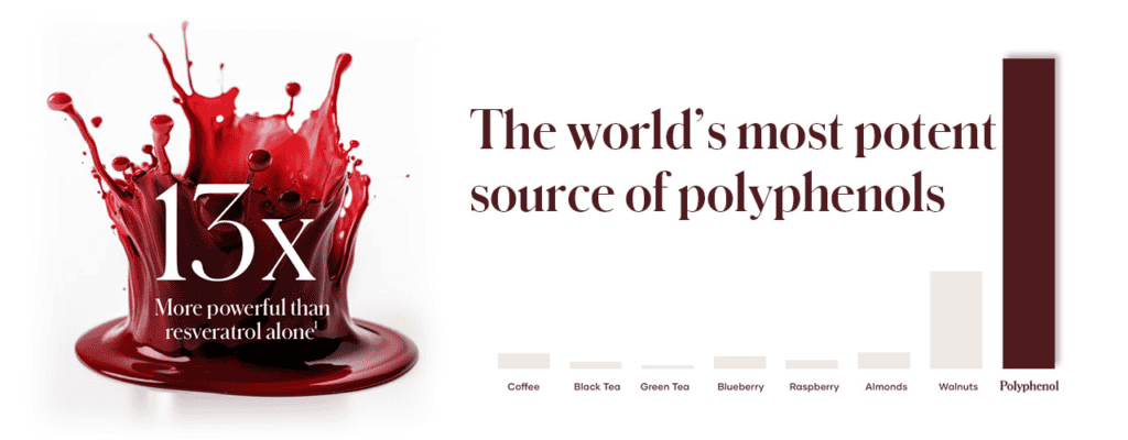 Ilustrasi sains bagaimana polifenol (Vivix) mengurangkan keradangan dan tekanan oksidatif untuk rawatan gout berkesan.