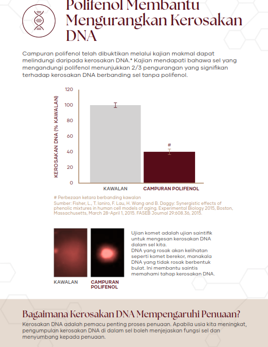 Graf bar dan imej Ujian Komet membuktikan campuran polifenol mengurangkan kerosakan DNA sebanyak 2/3 berbanding kawalan, menunjukkan perlindungan signifikan terhadap sel. Polifenol melindungi dari risiko kanser
