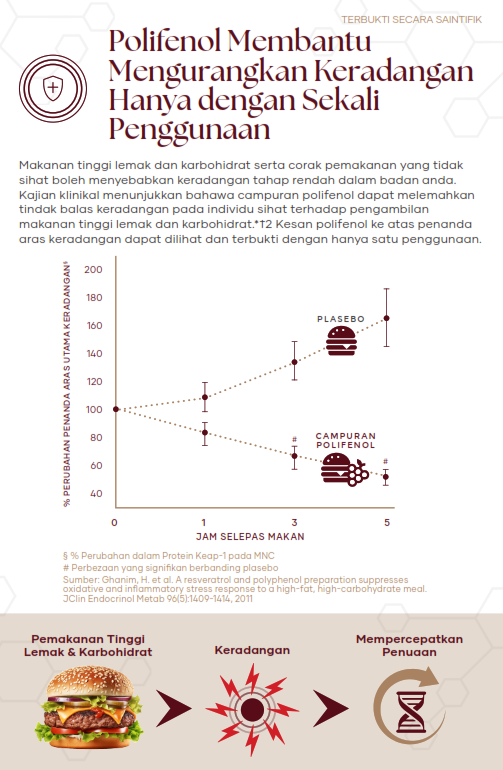 Graf kajian klinikal menunjukkan campuran polifenol mengurangkan penanda keradangan (Keap-1) dengan ketara berbanding plasebo selepas pengambilan makanan tinggi lemak dan karbohidrat. Bukti keberkesanan anti-keradangan pantas Polifenol